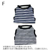 犬服 ドッグウェア タンクトップ | PlusNao | 詳細画像12