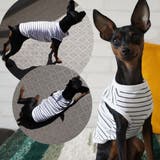 犬服 ドッグウェア タンクトップ | PlusNao | 詳細画像4