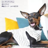 犬服 ドッグウェア タンクトップ | PlusNao | 詳細画像5