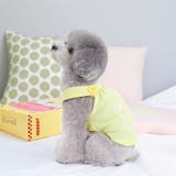 ドッグウェア ペットウェア キャミソール | PlusNao | 詳細画像6 