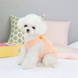 ドッグウェア ペットウェア キャミソール | PlusNao | 詳細画像8 