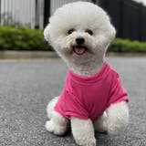 ペットウェア ドッグウェア キャットウェア | PlusNao | 詳細画像7