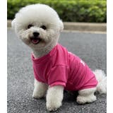 ペットウェア ドッグウェア キャットウェア | PlusNao | 詳細画像8