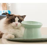 ネコ用食器 フードボウル ウォーターボウル | PlusNao | 詳細画像3