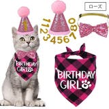誕生日お祝いセット ペット用 バースデー | PlusNao | 詳細画像2