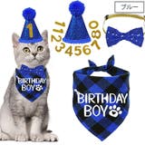 誕生日お祝いセット ペット用 バースデー | PlusNao | 詳細画像3