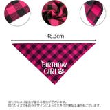 誕生日お祝いセット ペット用 バースデー | PlusNao | 詳細画像5