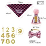 誕生日お祝いセット ペット用 バースデー | PlusNao | 詳細画像8 