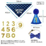 誕生日お祝いセット ペット用 バースデー | PlusNao | 詳細画像9 