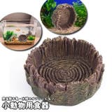 小動物用食器 エサ皿 エサ入れ | PlusNao | 詳細画像1