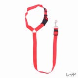 ペット用シートベルト 犬用 猫用 | PlusNao | 詳細画像6