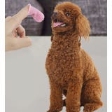 ペット用歯ブラシ 指サック型 ケース付き | PlusNao | 詳細画像2 