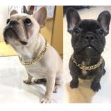 チェーンネックレス ペット用 犬用 | PlusNao | 詳細画像2 