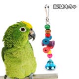 鳥用おもちゃ バードトイ 吊り下げ | PlusNao | 詳細画像1