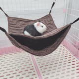 小動物 ハンモック 大きめ | PlusNao | 詳細画像2 
