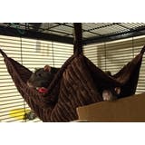 小動物 ハンモック 大きめ | PlusNao | 詳細画像4 
