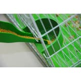 餌用スプーン 5本セット 鳥 | PlusNao | 詳細画像4