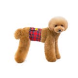 ペット用マナーベルト マナーウェア 犬 | PlusNao | 詳細画像6 