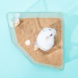 小動物用 砂浴び容器 砂風呂 | PlusNao | 詳細画像7 