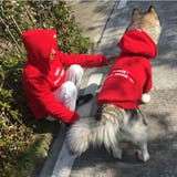 ペットウェア 犬服 飼い主とペット | PlusNao | 詳細画像11 