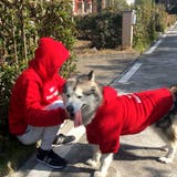 ペットウェア 犬服 飼い主とペット | PlusNao | 詳細画像12 
