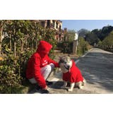 ペットウェア 犬服 飼い主とペット | PlusNao | 詳細画像14 