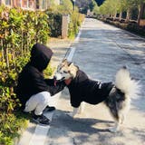 ペットウェア 犬服 飼い主とペット | PlusNao | 詳細画像15 