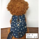 ハーネスリードセット ハーネス&リード お散歩グッズ | PlusNao | 詳細画像2 