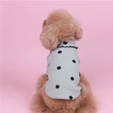 ドッグウェア カットソー 犬服 | PlusNao | 詳細画像6