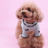 ドッグウェア カットソー 犬服 | PlusNao | 詳細画像7