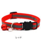 猫用首輪 セーフティバックル キャットカラー | PlusNao | 詳細画像2
