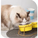 ペット用食器 猫用食器 犬用食器 | PlusNao | 詳細画像5 