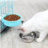 ペット用食器 犬用 猫用 | PlusNao | 詳細画像2 