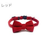 猫用首輪 ペット用首輪 猫 | PlusNao | 詳細画像3