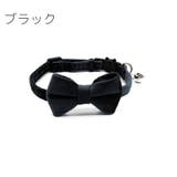 猫用首輪 ペット用首輪 猫 | PlusNao | 詳細画像5