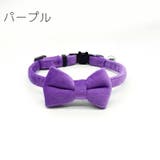 猫用首輪 ペット用首輪 猫 | PlusNao | 詳細画像8