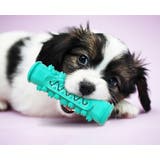 犬用 噛むオモチャ 噛んで歯磨き | PlusNao | 詳細画像3 