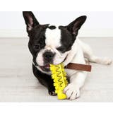 犬用 噛むオモチャ 噛んで歯磨き | PlusNao | 詳細画像4 