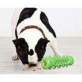 犬用 噛むオモチャ 噛んで歯磨き | PlusNao | 詳細画像5 