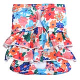 ペット用サニタリーショーツ ペット用サニタリーパンツ ペット用生理パンツ | PlusNao | 詳細画像8