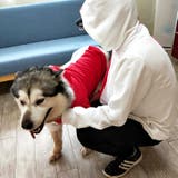ペットウェア 犬服 パーカー | PlusNao | 詳細画像9 