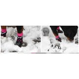 犬用ソックスシューズ 犬用靴 底部ラバー素材 | PlusNao | 詳細画像5 