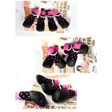 犬用ソックスシューズ 犬用靴 底部ラバー素材 | PlusNao | 詳細画像8 