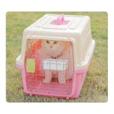 猫用食器 フードボール ペット用食器 | PlusNao | 詳細画像2 