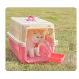 猫用食器 フードボール ペット用食器 | PlusNao | 詳細画像4 