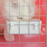 猫用食器 フードボール ペット用食器 | PlusNao | 詳細画像8 
