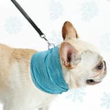 犬用 バンダナ マフラー | PlusNao | 詳細画像6