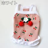 ペットウェア キャミソール 犬服 | PlusNao | 詳細画像12 