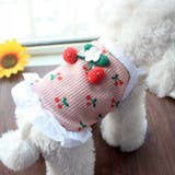 ペットウェア キャミソール 犬服 | PlusNao | 詳細画像4 