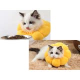 エリザベスカラー ペット用品 犬用品 | PlusNao | 詳細画像8 